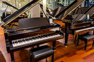 Bechstein Berlin