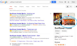 Google Search Screenshot